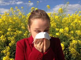 Allergie estelle daves