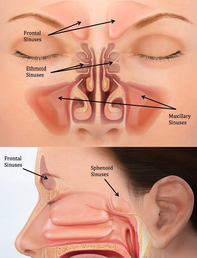 Sinus symbolique LPE