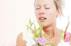 Rhinites allergiques 1