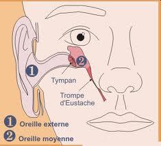 Trompe d eustache